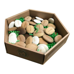Inspirational Wood Stones - Display Set